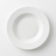 Porcelain Plate 10.5 Inch